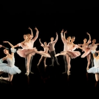 Diablo Ballet Announces 29th Anniversary Gala Photo