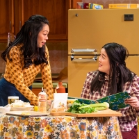 Photos: First Look at THE HEART SELLERS World Premiere at Milwaukee Repertory Theater Photo