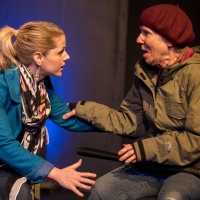 OUT ON A LIMB Comes to Scripps Ranch Theatre This Month