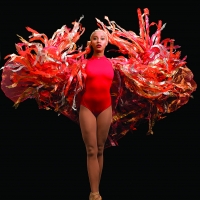 Hiplet Ballerinas Come to Lincoln Center February 25