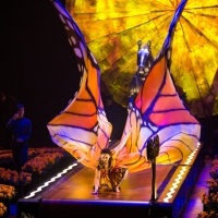 Cirque du Soleil Presents LUZIA in Zurich in September Photo