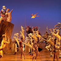 THE LION KING Performances Cancelled Today at the Buell Theatre Photo