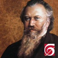 Springfield Symphony Orchestra Announces Adult Music Education Events