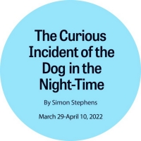 THE CURIOUS INCIDENT OF THE DOG IN THE NIGHT-TIME Comes to New Stage Theatre Next Yea Photo