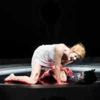 Photo Flash: First Look at SALOME at Theater an der Wien, Featuring Puppets! Photo