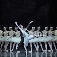 New National Theatre Presents SWAN LAKE in June