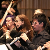 MusicaNova Orchestra Performs Springtime With Haydn For Palm Sunday, April 10 Photo