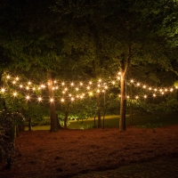 Arbour Festival Announced in Snowy Valley