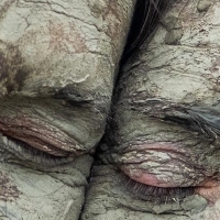 Ann Carlson and InkBoat Collaborate On New Show at ODC Theater Next Month