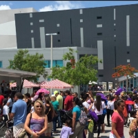 AKI's Family Arts Festival Comes to South Miami-Dade Cultural Arts Center