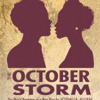 Hudson Stage Company THE OCTOBER STORM Postponed Photo