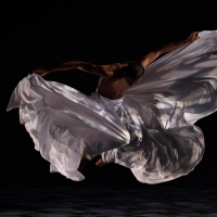 Dimensions Dance Theatre Brings POSSIBLE To Dennis C. Moss Cultural Arts Center Photo