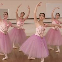 Marblehead School of Ballet Celebrates National Dance Week Photo