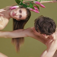 Dutch National Ballet Will Perform BEETHOVEN and FOUR SEASONS at The Holland Festival Photo