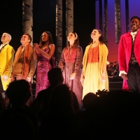 Photos: The Cast of INTO THE WOODS Takes Bows at First Preview on Broadway Photo