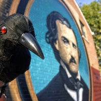 Edgar Allan Poe Relay To Feature Teams Of Poes Passing Raven Across Northern Libertie Photo