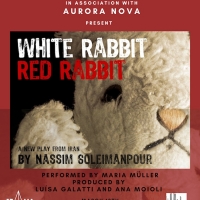 WHITE RABBIT RED RABBIT Comes to Theater for the New City in March Photo