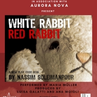 WHITE RABBIT RED RABBIT Comes to Theater for the New City in March