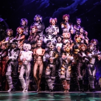 Midland Center For The Arts Announces CATS, MY FAIR LADY, and More for 2022-23 Season Photo