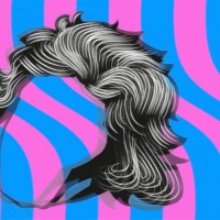 ROLLOVER BEETHOVEN Comes to Teatro das Figuras This Weekend