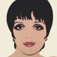 Liza Minnelli LIVE IN NEW YORK 1979 to Be Released In Ultimate 3-CD Edition and 2-LP Photo