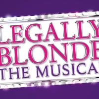Dallastown Area High School Musical Presents LEGALLY BLONDE Photo
