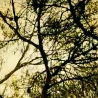 Nanook Will Showcase 'Primavera 2' EP at Teatro das Figuras Next Month