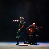 CAP UCLA Presents American Premiere of Israel Galván and Niño De Elches MELL Photo