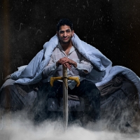 Teatro Vista Announces THE DREAM KING Photo