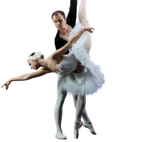 The United Ukrainian Ballet will arrive in Australia this October to perform SWAN LAKE Photo