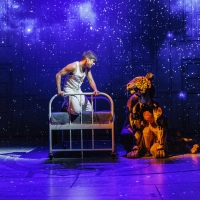 LIFE OF PI Will Embark on UK and Ireland Tour in August 2023 Photo