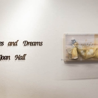 THEMES AND DREAMS Joan Hall Retrospective At Westbeth Gallery On View Until March 24 Video