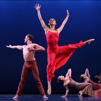 Martha Graham Dance Company To Present GRAHAMDECONSTRUCTED: DIVERSION OF ANGELS, Octo Photo