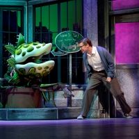 LITTLE SHOP OF HORRORS Will Be Performed by Rocky Mountain Rep This Summer