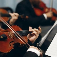 Maxwell String Quartet Will Perform a Concert as Part of the Euroart Prague Festival  Photo