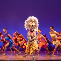 THE LION KING Welcomes TDF's Introduction To Theatre Program and Autism Friendly Perf Photo