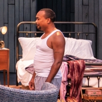 Photos: First Look At A RAISIN IN THE SUN At American Players Theatre Photo