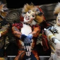 CATS Comes to Theater 11 Zurich Photo