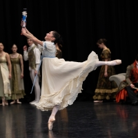 Photos: First Look At Northern Ballet's THE NUTCRACKER Photo