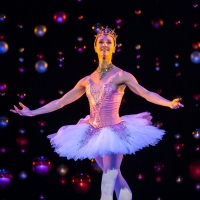 Photos: Scottish Ballet Tours THE NUTCRACKER Photos