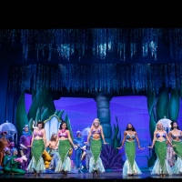 Photos: First Look at the Lexington Theatre Company's DISNEY'S THE LITTLE MERMAID Photo