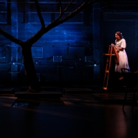 Photos: Get a First Look at OUR TOWN at Syracuse Stage Photo