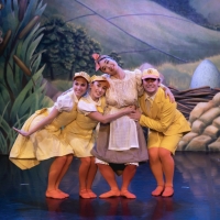 Northern Ballets UGLY DUCKLING for Children Begins National Tour Next Month Photo