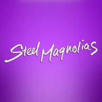 STEEL MAGNOLIAS is Now Playing at FMCT Photo
