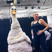 Photos: In Rehearsal For Hackney Empire's Christmas Pantomime MOTHER GOOSE Photo