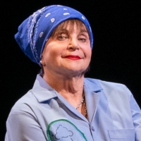 Cindy Williams, Stage Actor and LAVERNE & SHIRLEY Star, Passes Away At 75 Photo