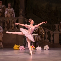 Nashville Ballet Announces 2022-23 Season Photo