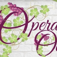 Maryland Opera Announces Two Outdoor Concerts as part of the OPERA IN OCTOBER Series
