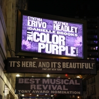 THE COLOR PURPLE Movie Musical Shifts Release Date to Christmas Day Photo