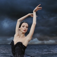 The National Ballet of Canada Announces Principal Cast of SWAN LAKE Photo